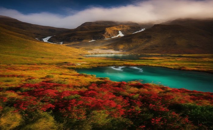 alpine tundra