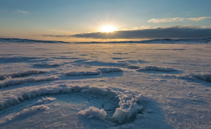 frozen tundra